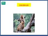人教版音乐八年级上册第二单元欣赏《动物世界》片头曲课件PPT+教案+音频等素材