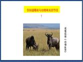 人教版音乐八年级上册第二单元欣赏《动物世界》片头曲课件PPT+教案+音频等素材
