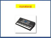人教版音乐八年级上册第二单元欣赏《动物世界》片头曲课件PPT+教案+音频等素材