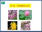 人教版音樂八年級上冊第四單元唱歌《采花》課件PPT+教案+音頻等素材