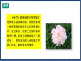 人教版音樂八年級上冊第四單元唱歌《采花》課件PPT+教案+音頻等素材