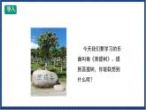 人教版音乐八年级上册第六单元《菩提树》课件PPT+教案+音频等素材