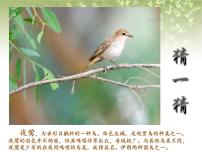 人音版九年级上册夜莺评课ppt课件