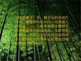 人音版初中音乐七年级下册 第二单元 影视金曲 《穿越竹林》课件1