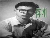 人音版初中音乐七年级下册 第三单元 天山之音 《阳光照耀着塔什库尔干》课件3