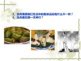人教版七年级音乐下册 第四单元《赛龙夺锦》 课件