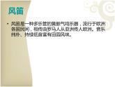 人教版七年级音乐下册 第五单元《优雅》 课件
