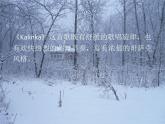 人教版七年级音乐下册 第五单元卡林卡课件