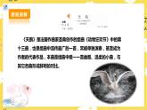 【人教版】七下音樂 第二單元第3課時(shí)《天鵝》《蜜蜂過江》《蝴蝶》課件+教案+素材
