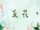 采花課件PPT