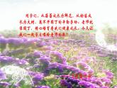 第一单元 中学时代——蓓蕾之歌 课件 人教版初中音乐七年级上册