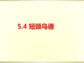 第五单元环球之旅(—)——亚洲之声——短颈乌德　课件人教版初中音乐七年级上册