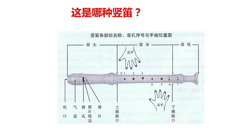 第五单元环球之旅(—)——亚洲之声—— 学吹竖笛  课件人教版初中音乐七年级上册第7页