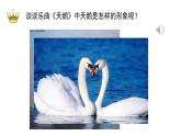 第二单元 飞翔的翅膀—— 天 鹅 课件 人教版初中音乐七年级下册