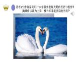 第二单元 飞翔的翅膀—— 天 鹅 课件 人教版初中音乐七年级下册
