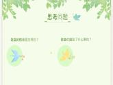第二单元　飞翔的翅膀——小鸟，小鸟　课件人教版初中音乐七年级下册