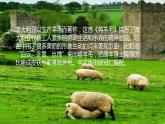 第五單元 環(huán)球之旅（二） 選唱 剪羊毛 課件人教版初中音樂七年級下冊