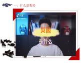 第二單元　梨園風(fēng)采——《海島冰輪初轉(zhuǎn)騰》《我正在城樓觀山景》課件人教版初中音樂(lè)八年級(jí)下冊(cè)