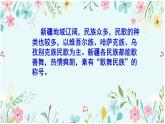 第四单元　神州音韵（四）——《玛依拉》课件　人教版初中音乐八年级下册