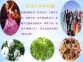 第四单元《神州音韵（四）—玛依拉课件  人教版八年级音乐下册