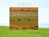 四单元　神州音韵（四）——《牧歌》课件  人教版初中音乐八年级下册