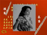 第二单元欧洲风音乐小辞典 欧洲民歌、民间舞蹈音乐 西洋管弦乐队课件  沪教版初中音乐七年级下册 (3)
