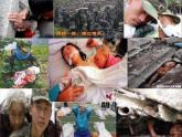 第五单元  爱心呼唤 欣赏 《天下一家》 《让世界充满爱》 《爱之梦》课件  沪教版初中音乐七年级下册 (3)