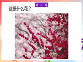 粤教版音乐八年级下册 第1单元 神州古韵 《梅花三弄》课件