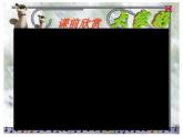 《友誼地久天長(zhǎng)》課件