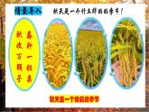 人教版音乐七年级上册3.1《西风的话》PPT课件+教案+音频+视频