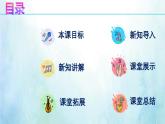【人音版】七上音乐 第2单元《夏夜圆舞曲》课件+教案+素材