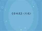 人音版音乐八年级上册（简谱）第二单元 《雪绒花》片段_课件