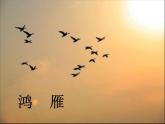 人音版音樂八年級上冊（簡譜）人民音樂出版社初中音樂八年級上冊（簡譜） 鴻雁課件