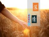 【人音版】七上音乐 第四单元《深情》课件+教案+素材