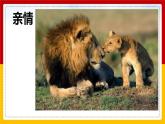 第一单元　流行乐风——《让世界充满爱》课件 2024—2025学年人音版初中音乐九年级上册