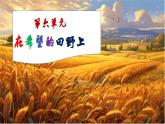 【人音版】七上音樂(lè) 第六單元《在希望的田野上》課件+教案+素材