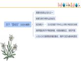 第二單元　多彩音樂劇《雪絨花》課件　2024—2025學(xué)年人音版初中音樂八年級(jí)上冊(cè)