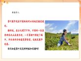 【新教材核心素养】花城版音乐七年级上册第6单元《采茶灯》-教学设计+课件+素材