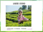 湘艺版音乐七年级下册第五单元欣赏《采茶灯》 课件