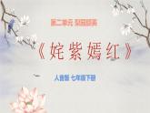 人音版 七年级下册 第二单元  梨园撷英《姹紫嫣红》PPT