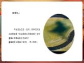 【新教材核心素養(yǎng)】湘藝版音樂(lè)七年級(jí)下冊(cè)第3單元第3課時(shí)《音樂(lè)與詩(shī)：思鄉(xiāng)曲+鄉(xiāng)愁》課件＋同步教學(xué)設(shè)計(jì)＋素材