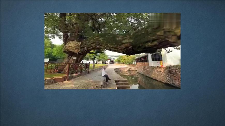 人音版7上第六单元《乡愁》课件第7页