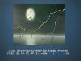 人音版7上第六單元《月之故鄉(xiāng)》課件