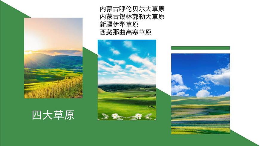 人音版七上第五单元《鸿雁》课件第3页