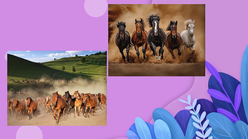 人音版7上第五单元《万马奔腾》课件第2页