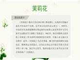 人教版音樂(lè)7上第二單元項(xiàng)目一《茉莉花》課件