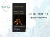 人教版（2024）八年級上冊音樂第四單元學習項目二《樂器音色分類》教案+課件