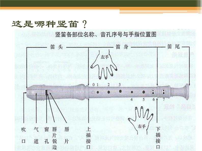 人教版七年级下册音乐（简谱）第5单元《学吹竖笛》课件06