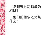 人美版美術(shù)七年級(jí)上冊《大家動(dòng)手做條龍》課件1