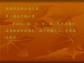 《神奇的鐵畫(huà)》課件1
